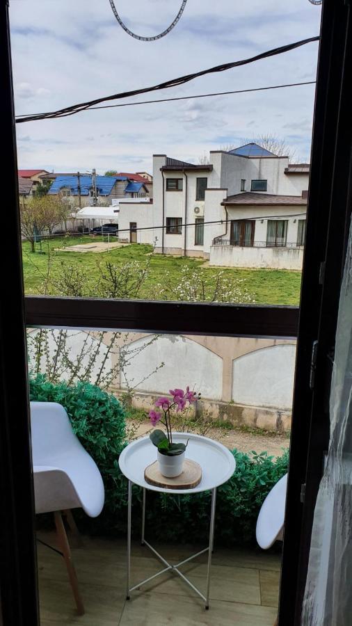 Cozy Villa, Close To The Center Of Bucharest By Car